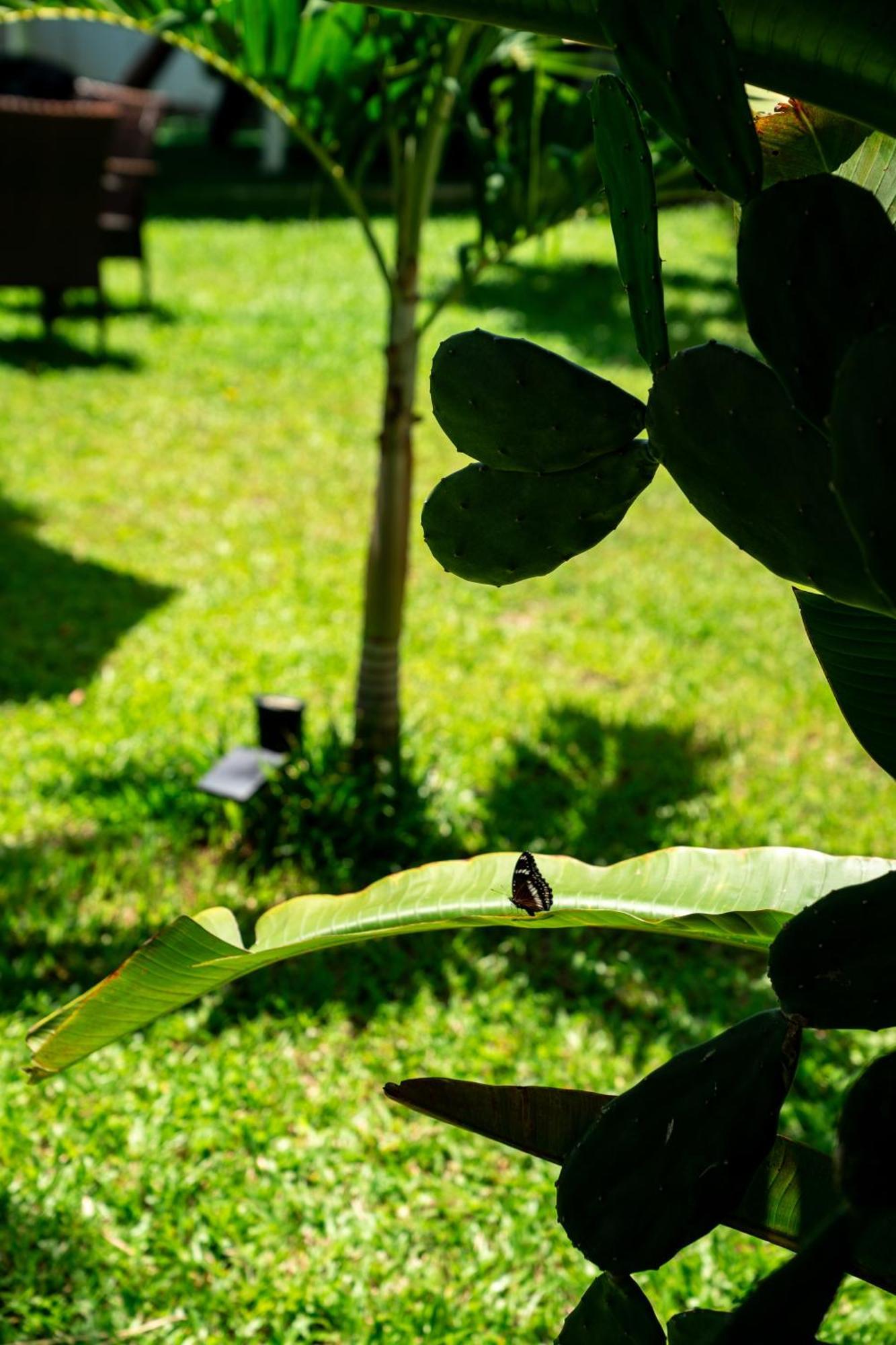 Koh Samui Resort & Restaurant Taling Ngam Beach Exterior foto